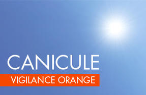Vigilance-orange-canicule_large.jpg