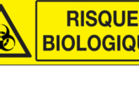 actu_risque_biologique.png