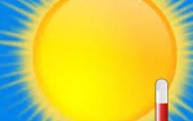 canicule_2.jpg